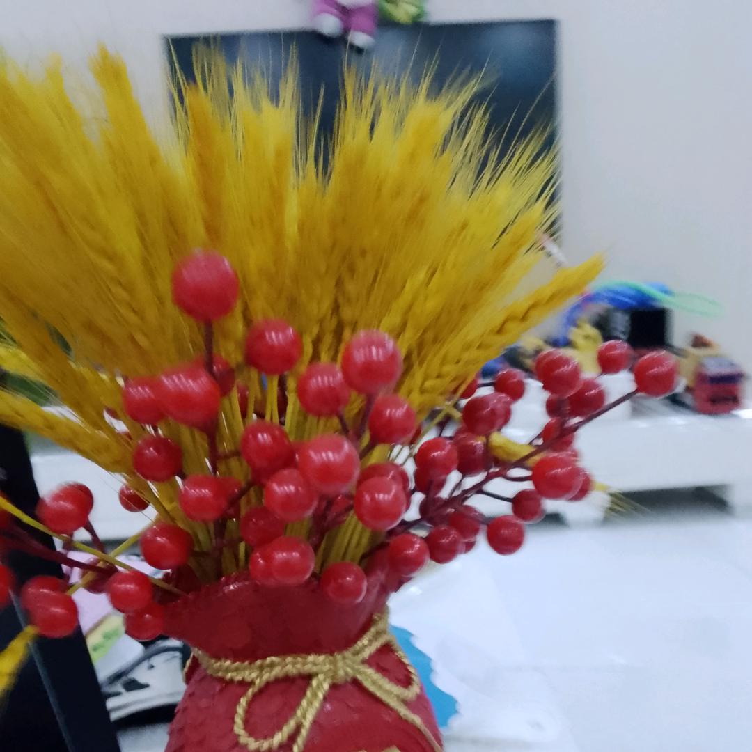 伍月的花    ⁶⁶¹