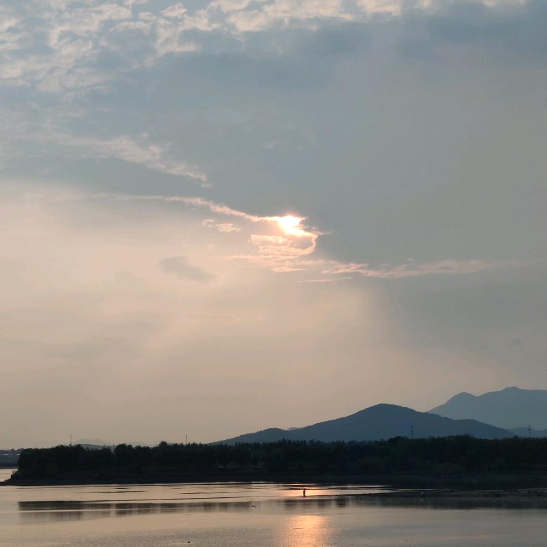 泰山求珍悟石苑