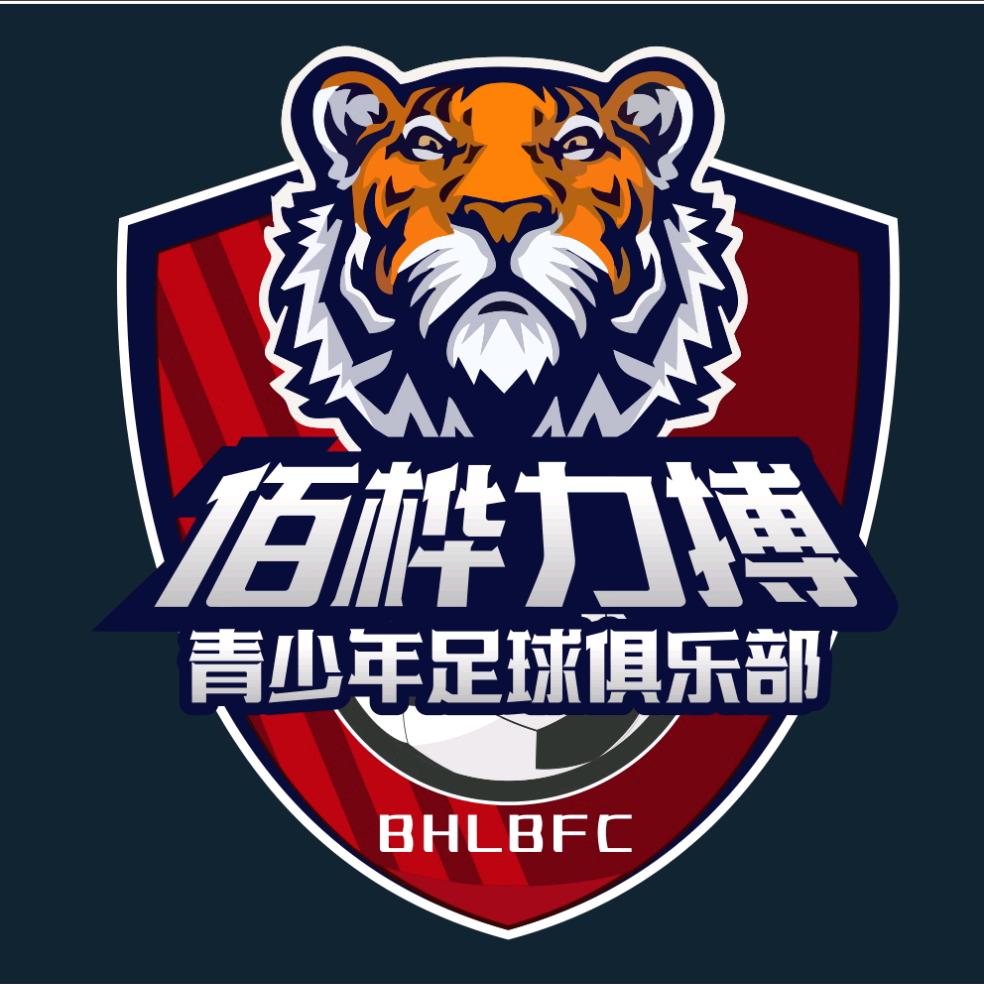 天津佰桦力搏青训