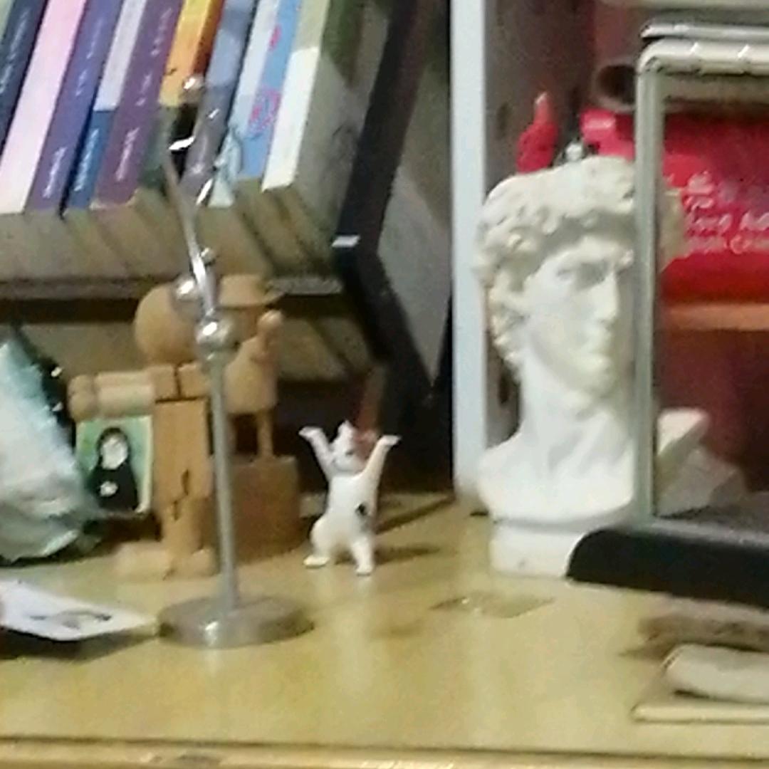颜喜嗷
