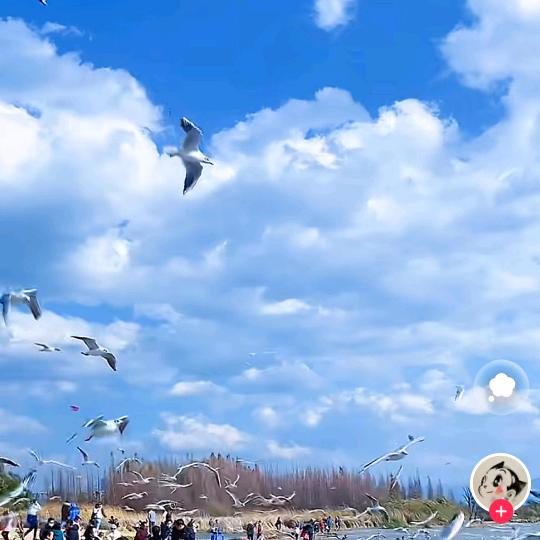 小王