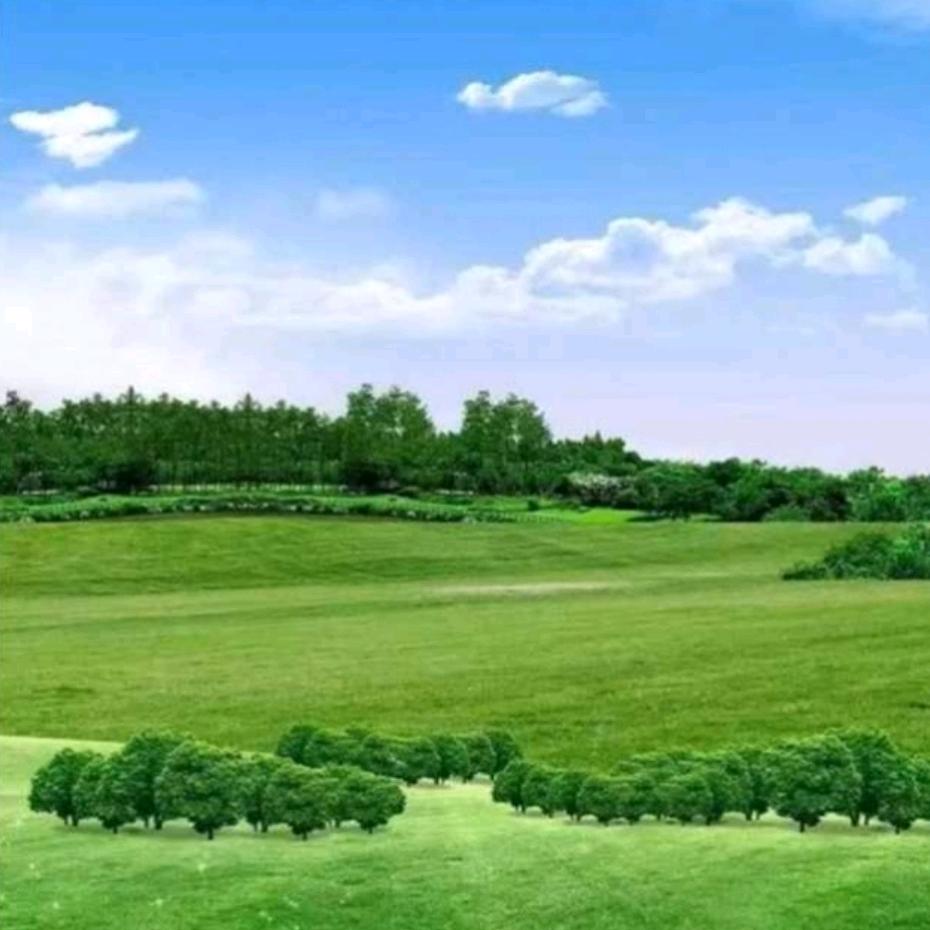 财富觉醒（提升认知）
