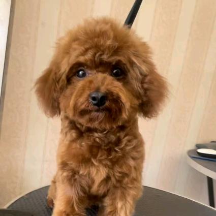 雨打沙滩万点坑