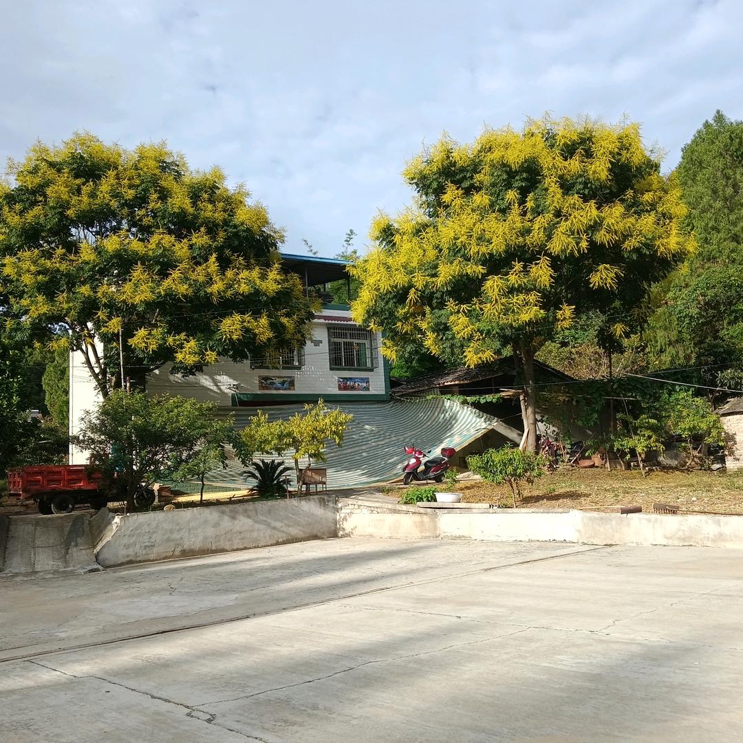 心中必有你！环耙l！