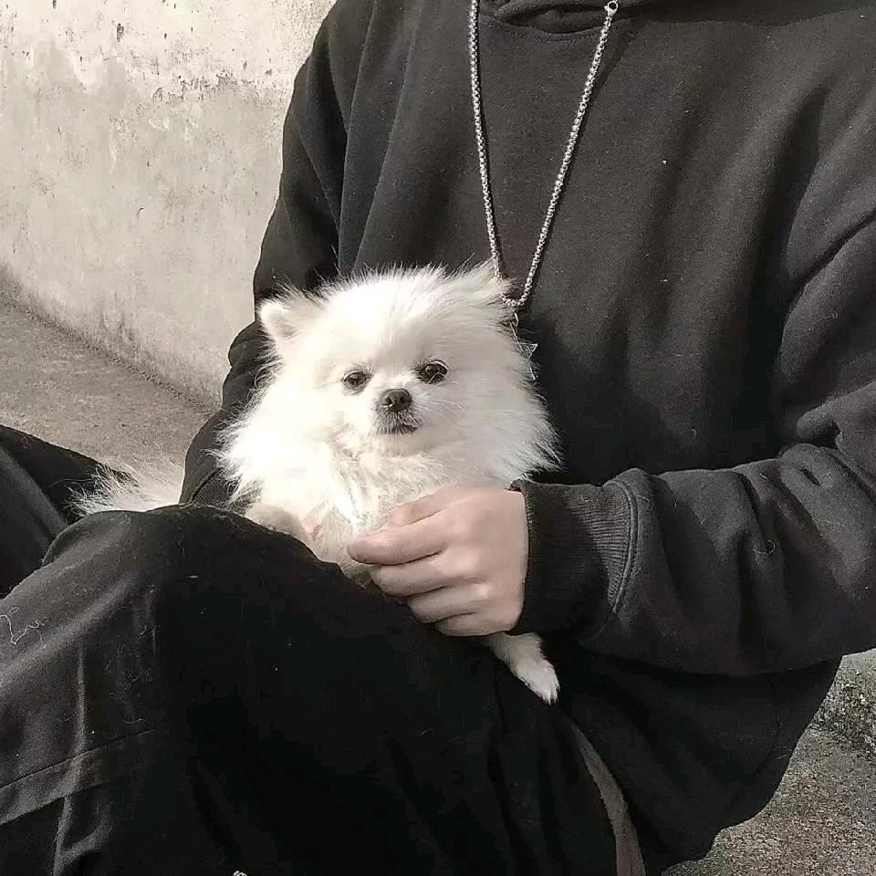 此账号已注销！