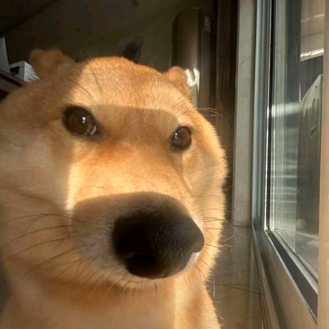 楠meme小剧场