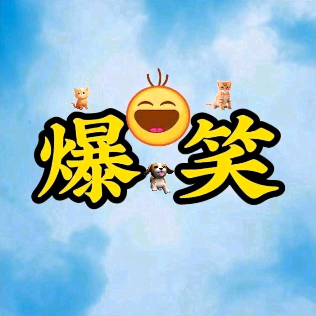 杨笑笑