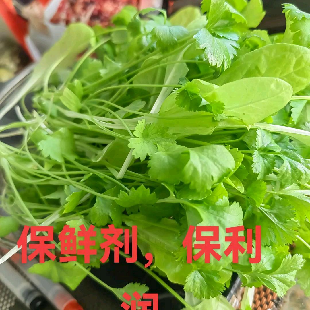 吉菊红