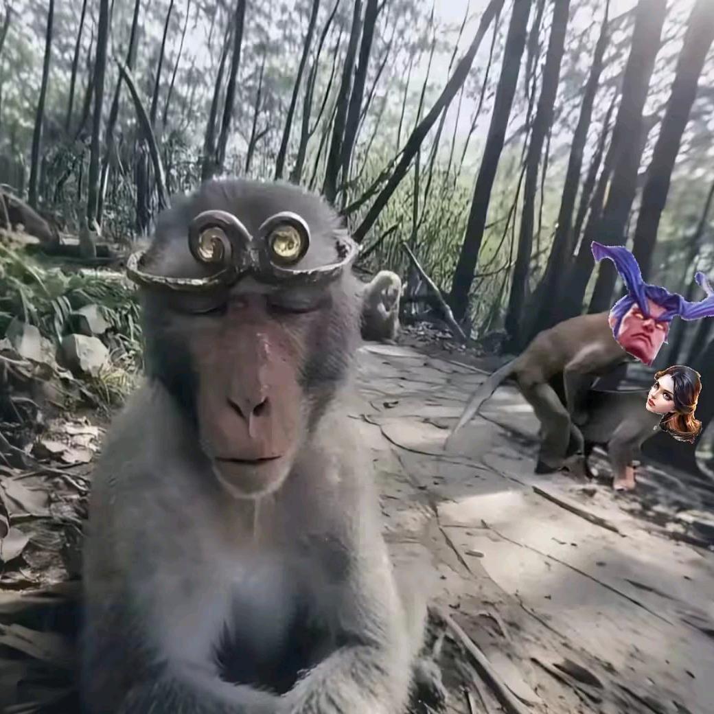 鲨鱼剪辑