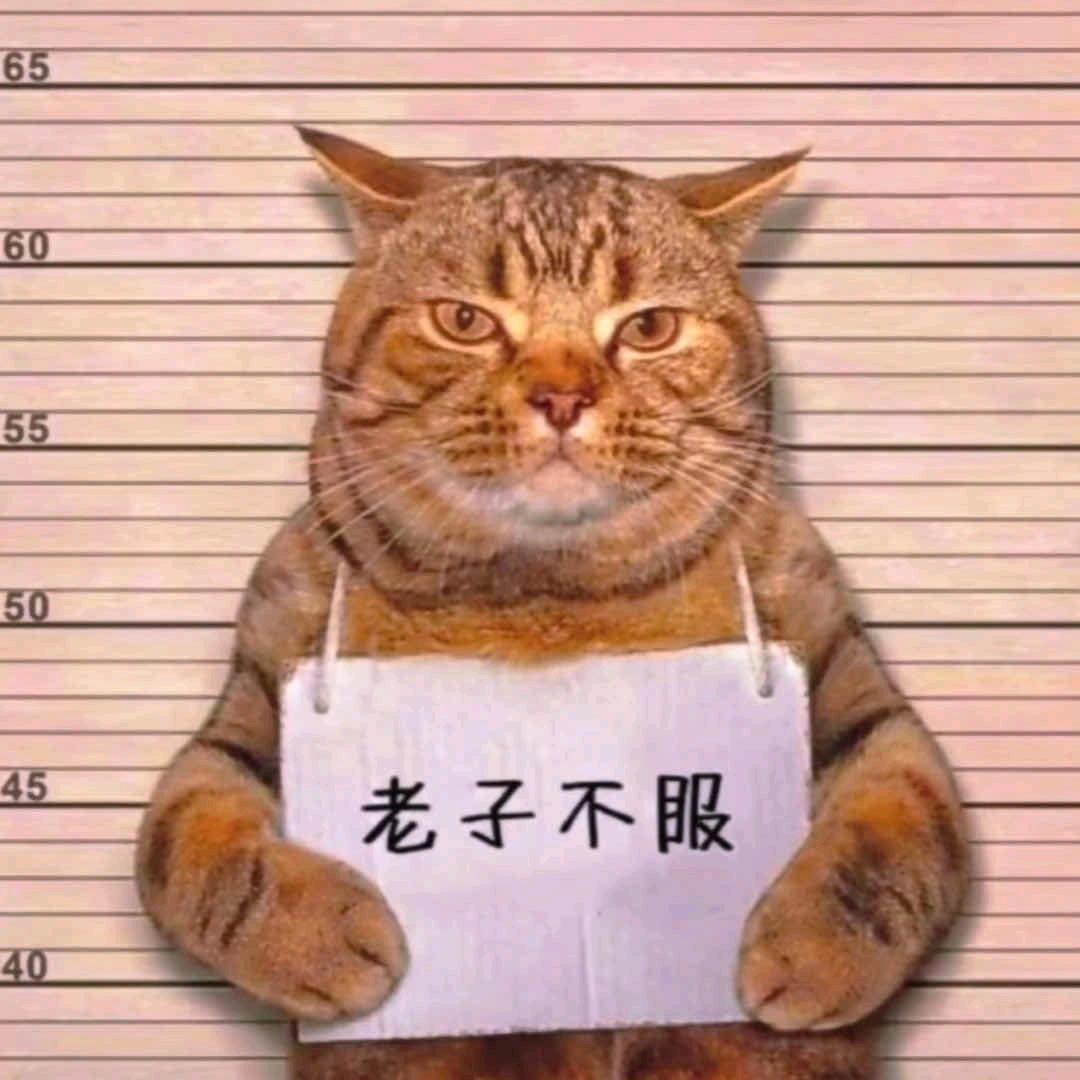 貝