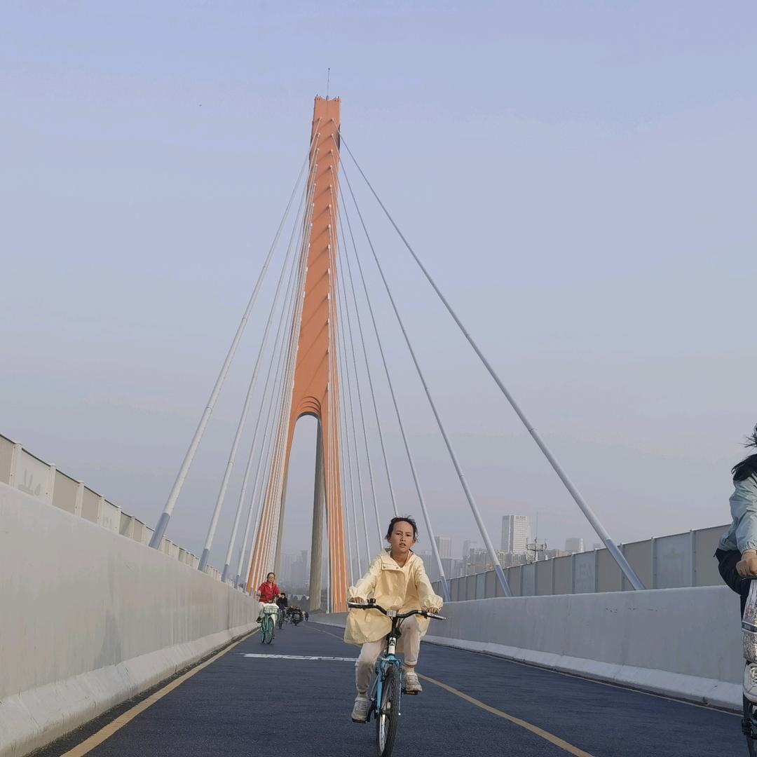 向上阳光