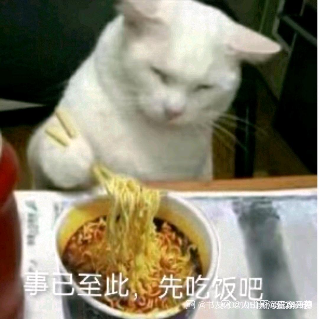 就这？我怎么输啊