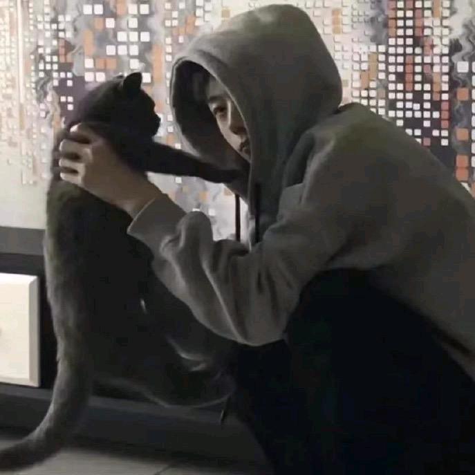 雾散后再见✨