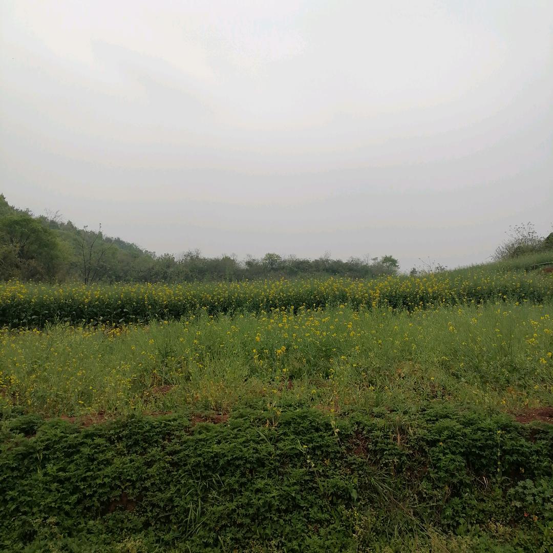 一支烟梅雨
