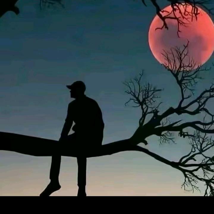 ✨ 一  生  有  你 ✨