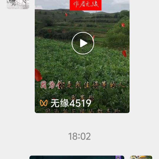 自由飞翔
