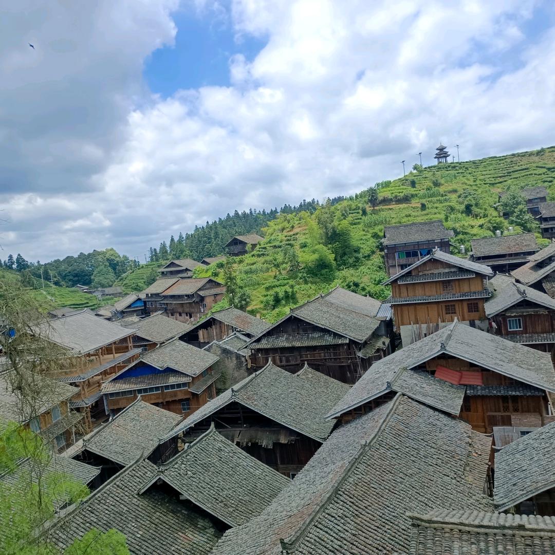 朴实找山货