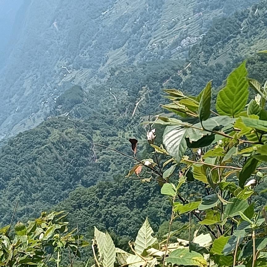 快乐每一天🌸🌸拒绝聊天