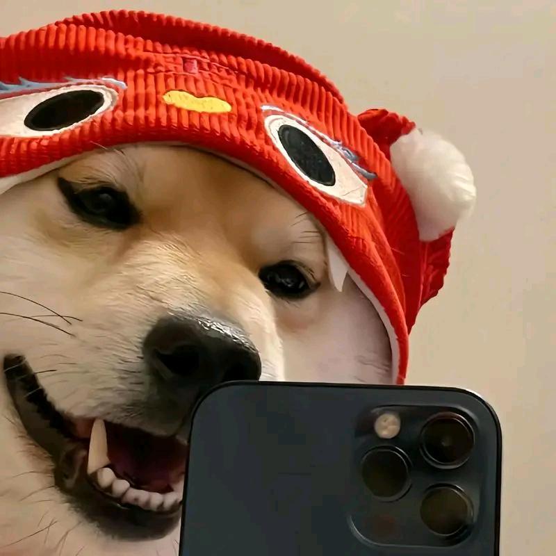 乐悠刘