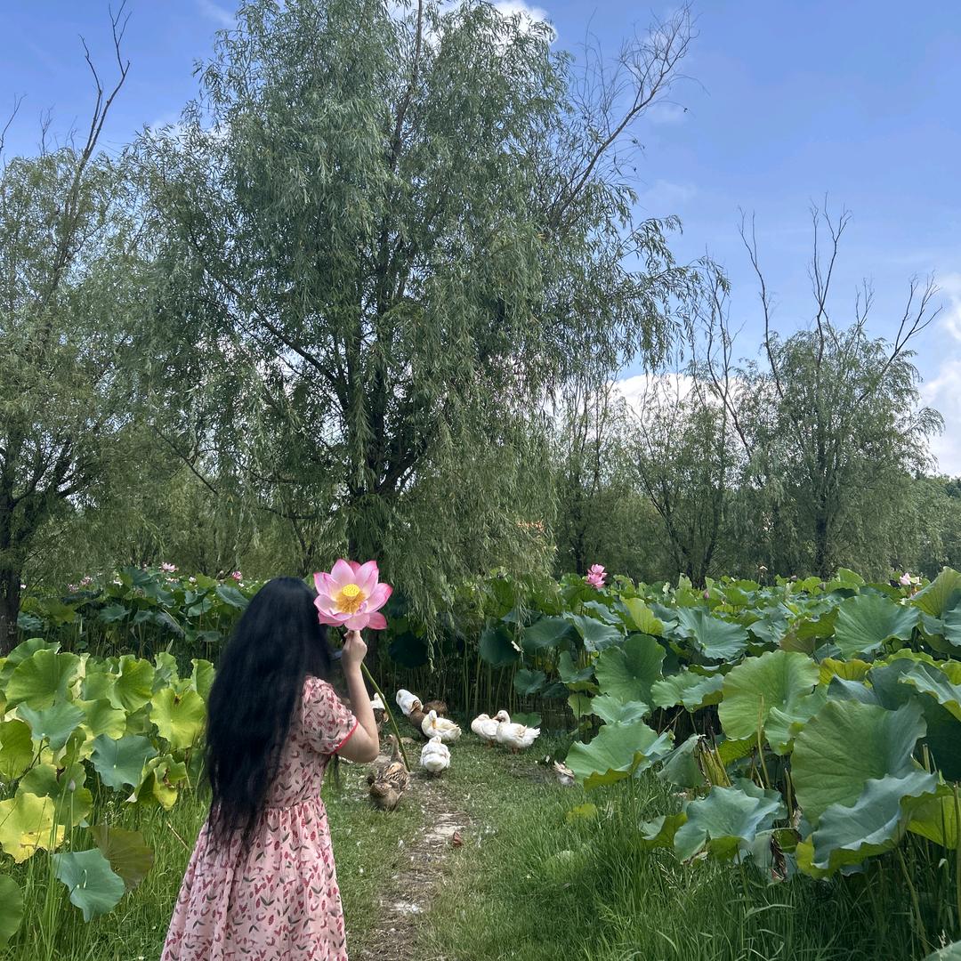 刘奇奇刘圆圆头像