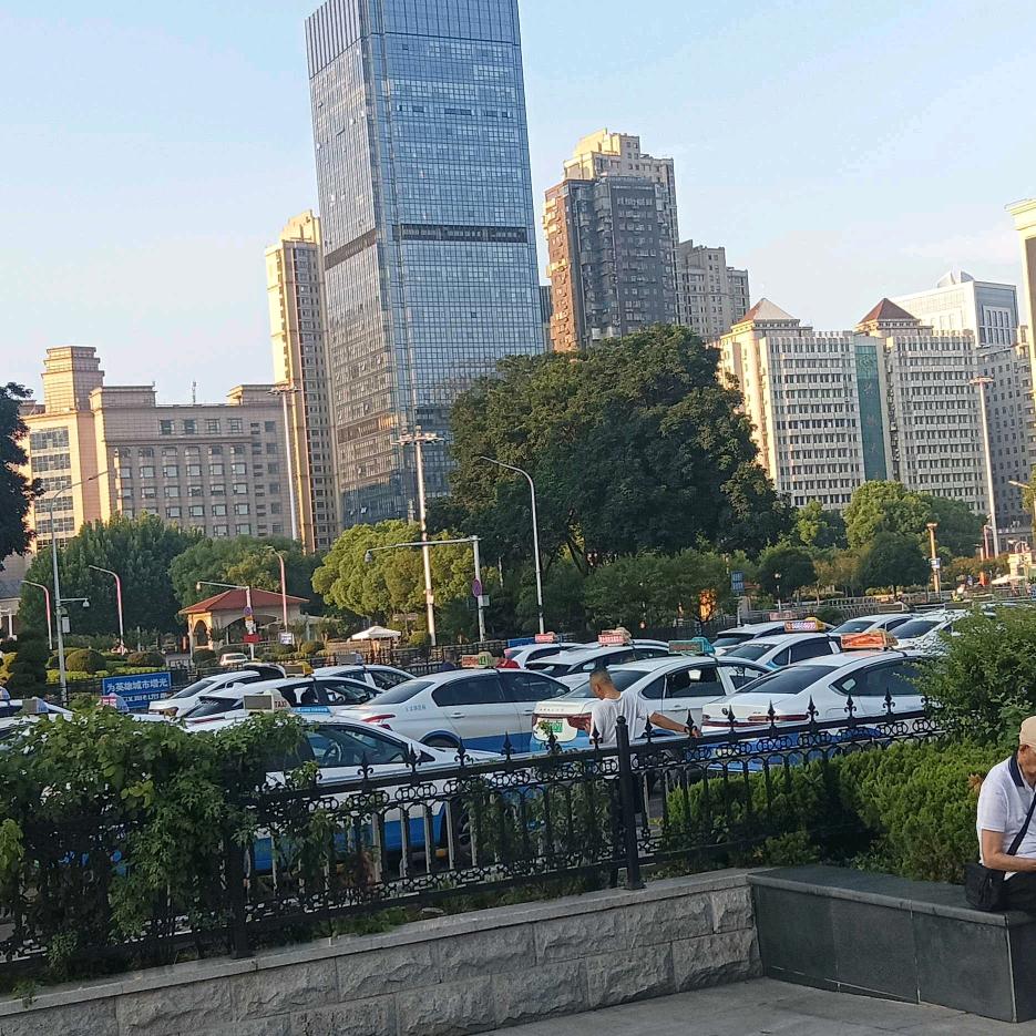 情中花无情泪