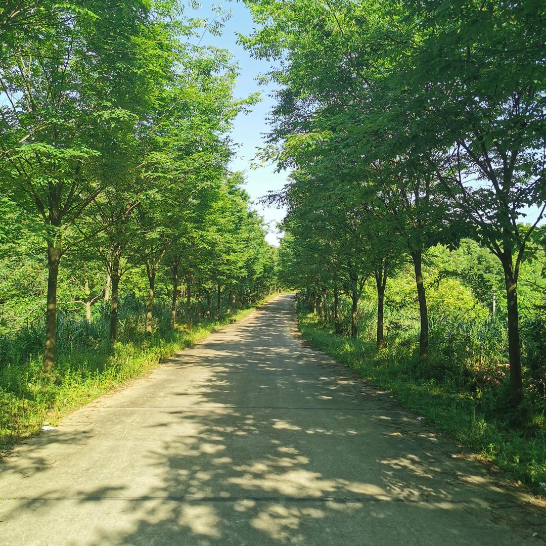 农村浪子