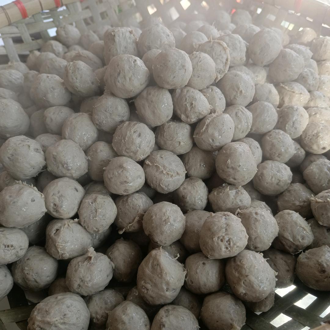 杨记广东肉丸加工官方号