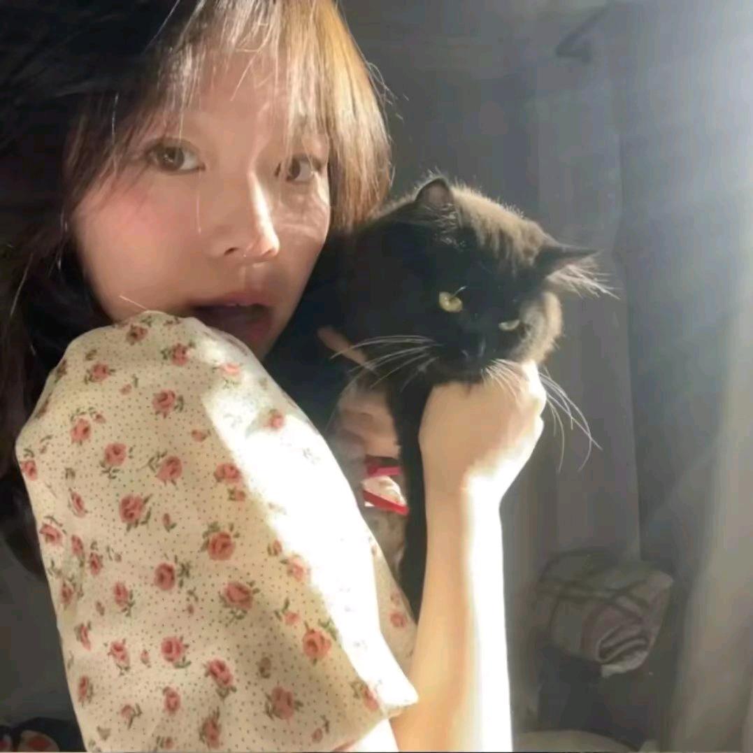 手可摘棉花🍫