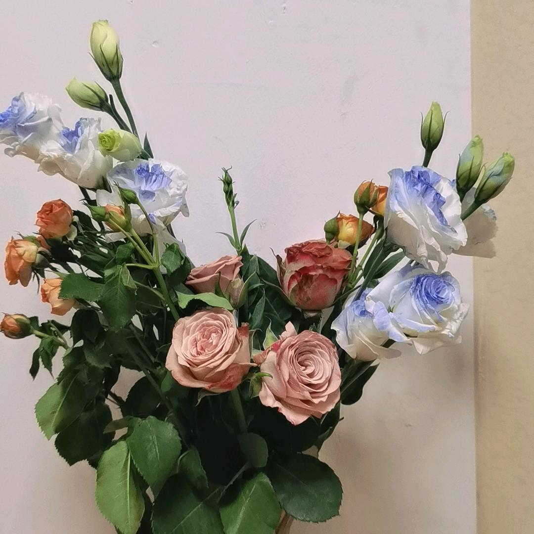 微  风轻轻
