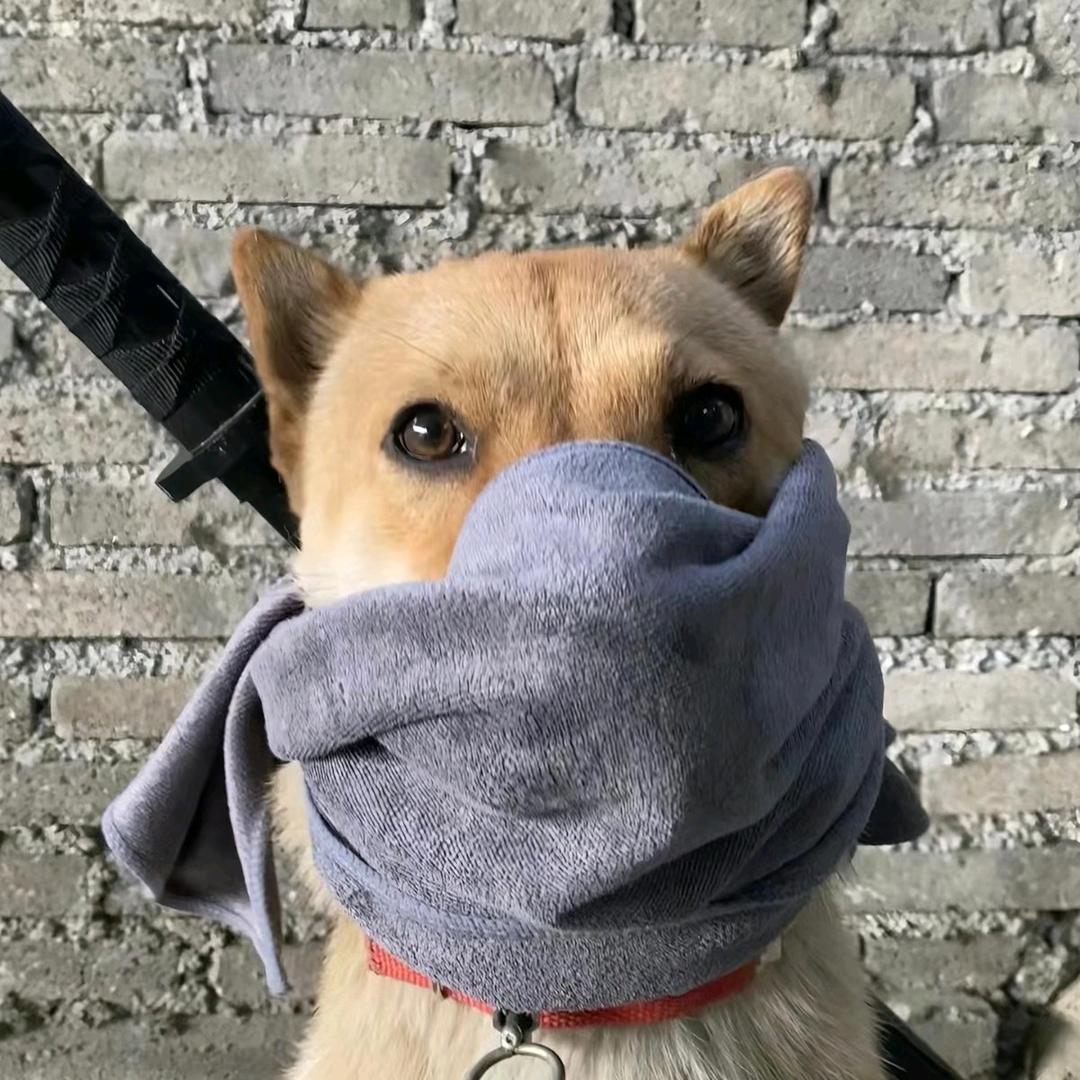 没有条件