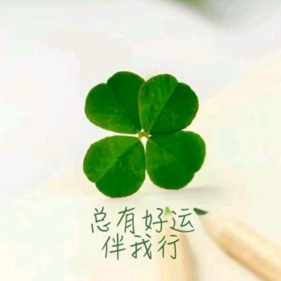 缘分雨琪