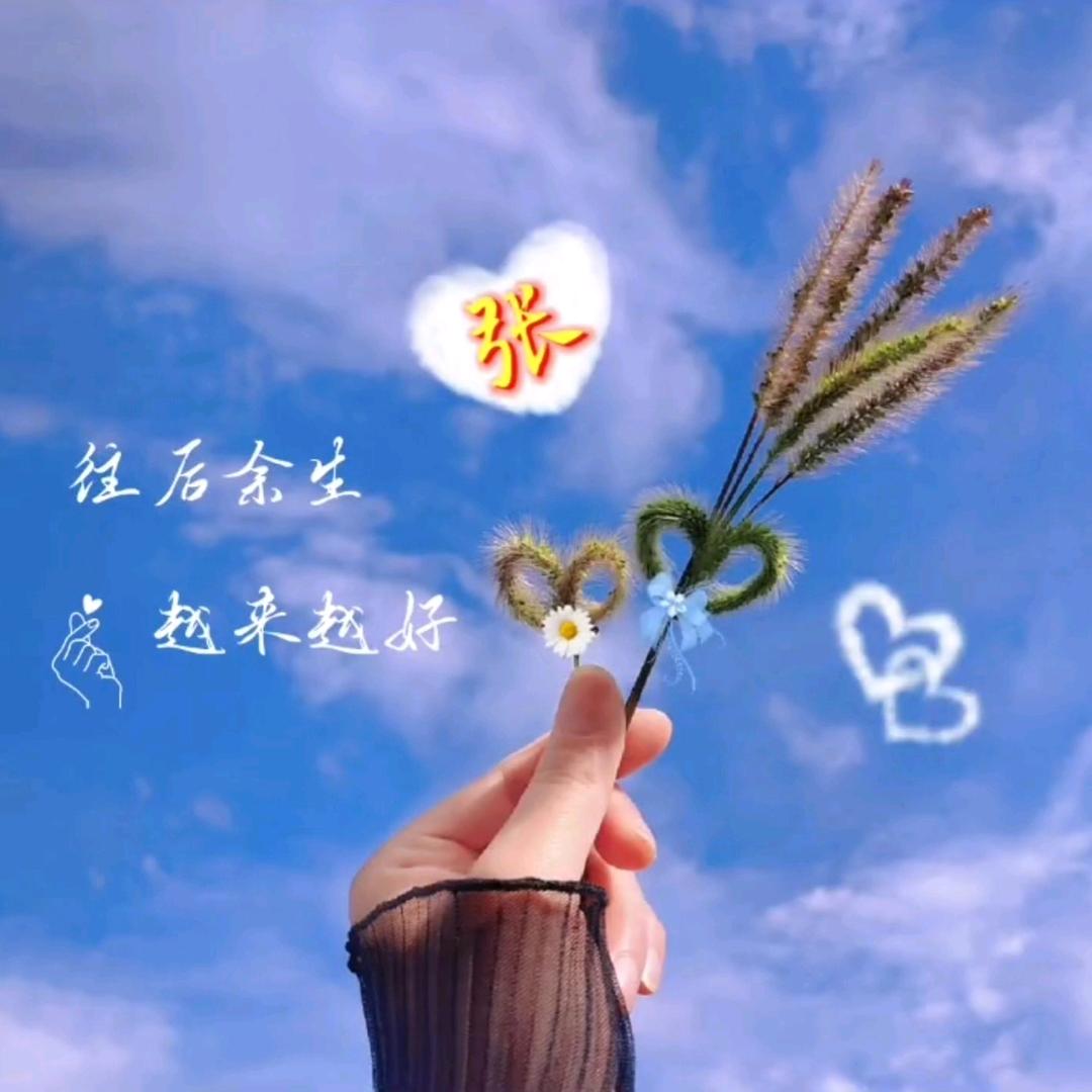 钱💰兔🐰似锦