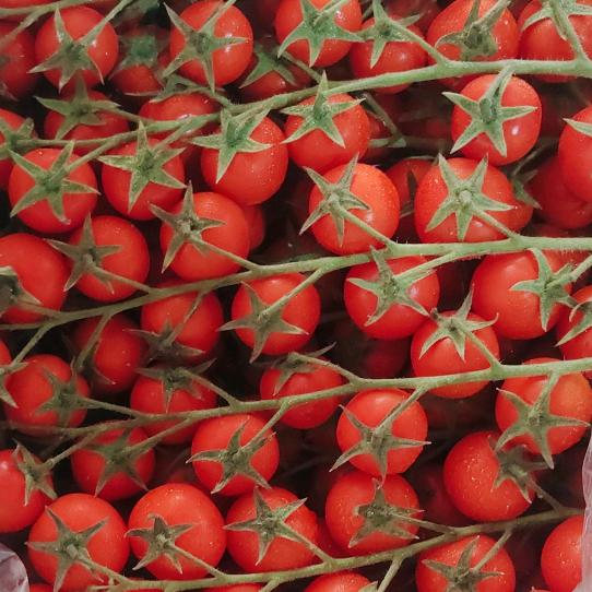 ⚓️⚓️⚓️啊六⚓️⚓️⚓️