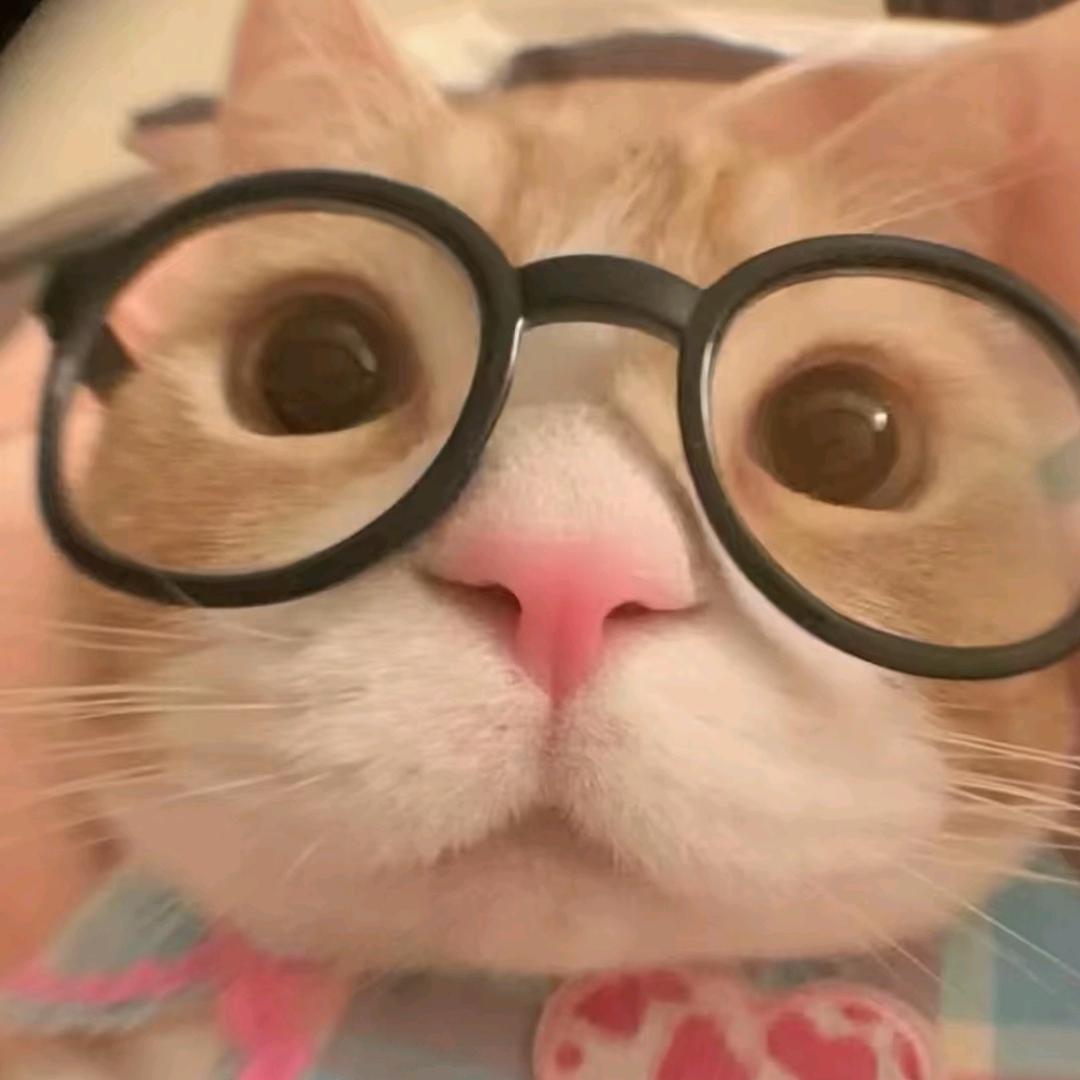 阿万万万万万呀