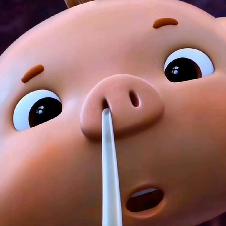 呆呆猪
