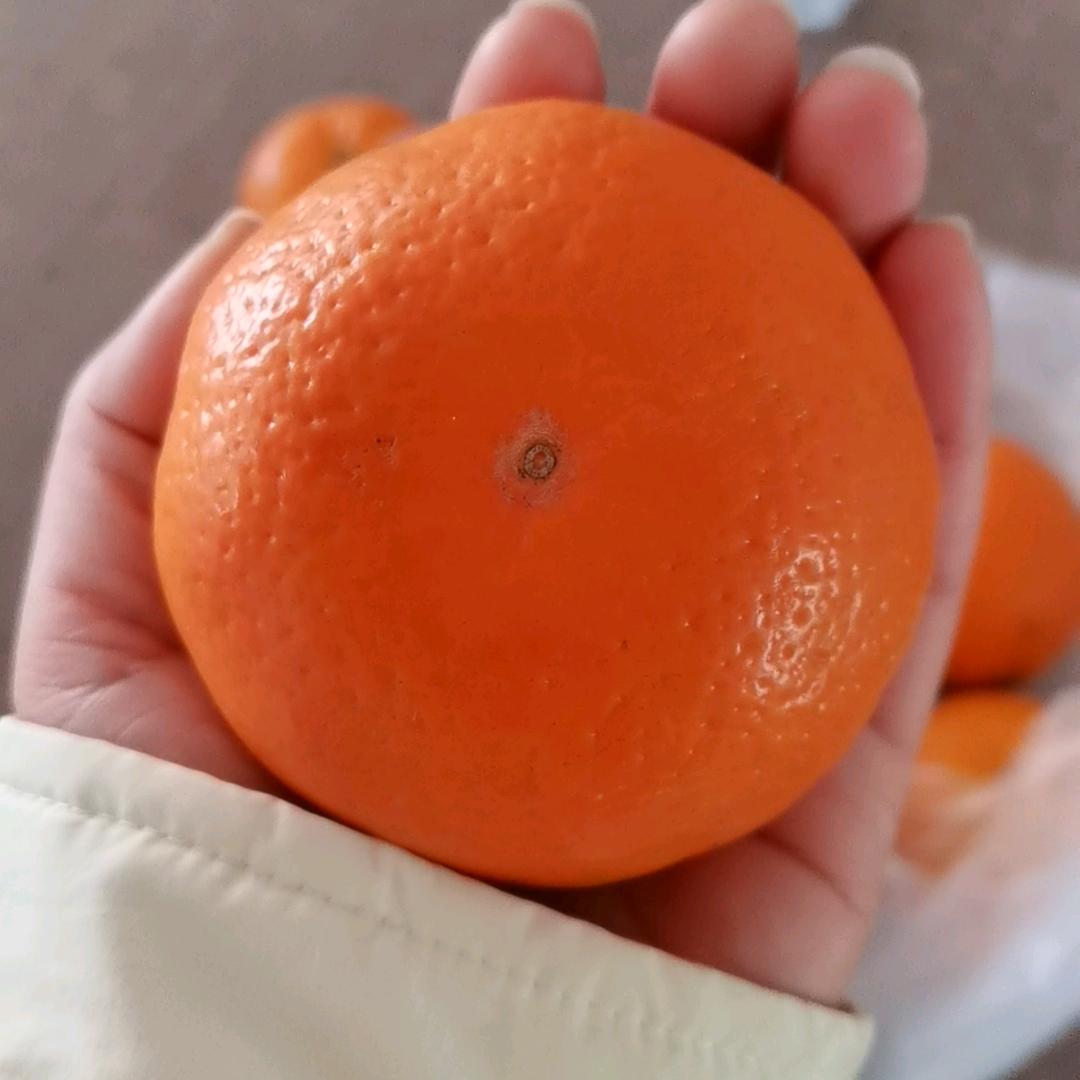 😡发疯日常😡