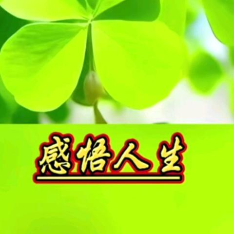 感悟人生