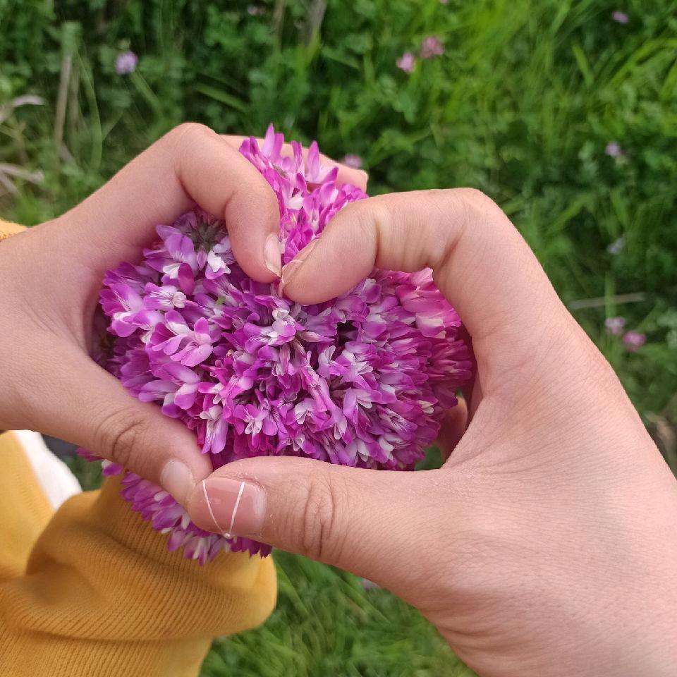 麻阳丁丁农产品