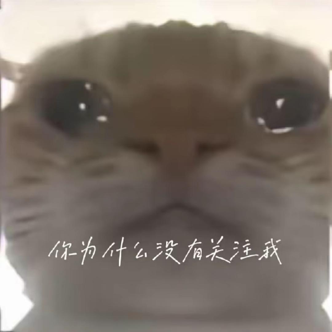 困困 ㅤ