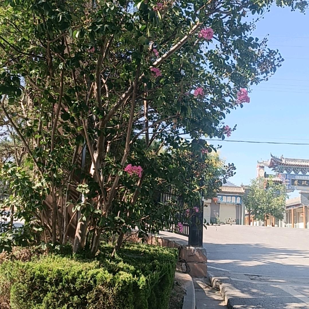 碰见你是错，扔掉你垃圾才是对