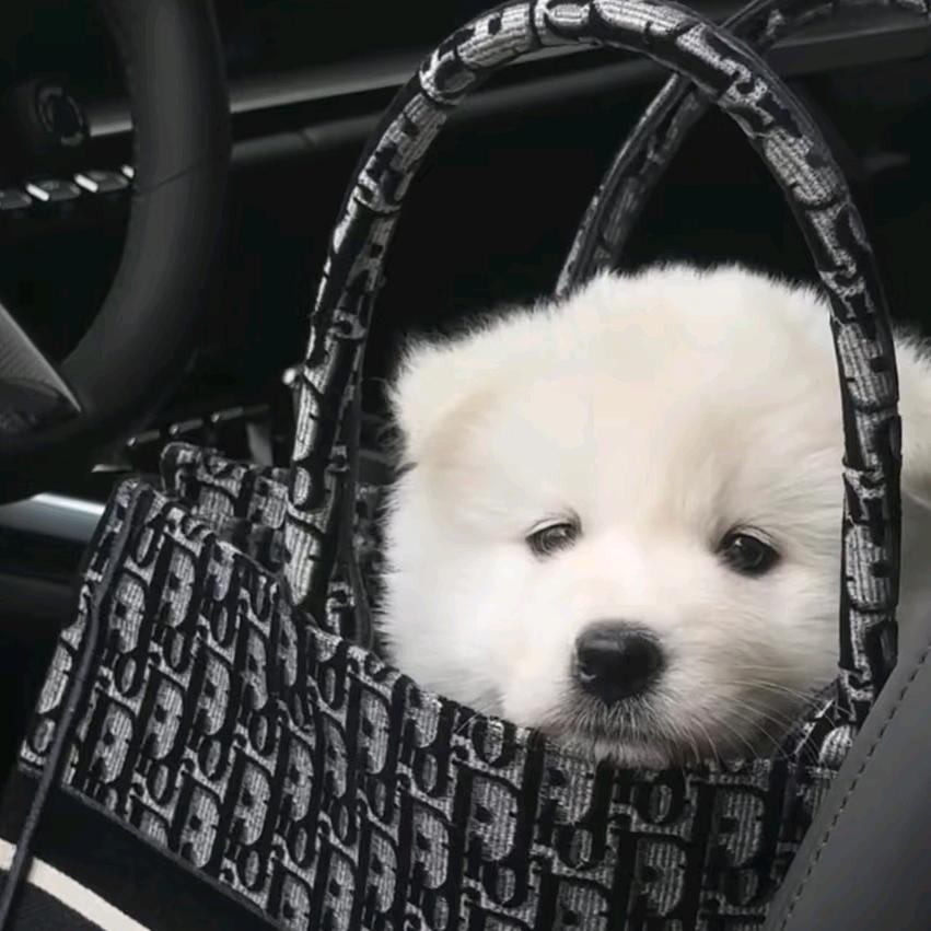 一種快樂__