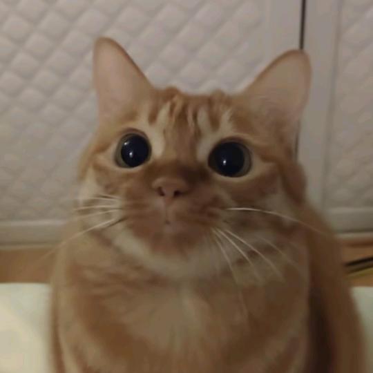 铜雕塑ヾ(｡｀Д´｡)ﾉ彡