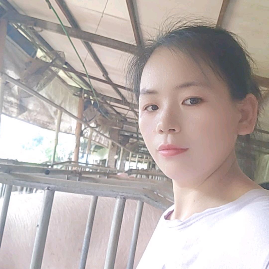 猪事顺利（木子）