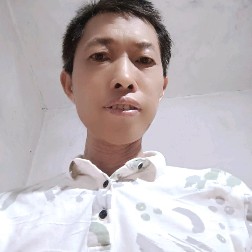 向哥好物