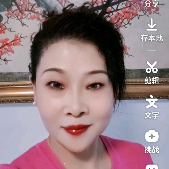 梅花山峰