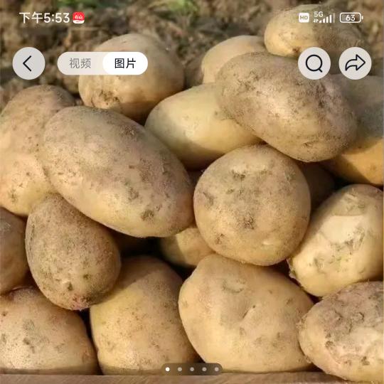 胖村长优选（什川）918