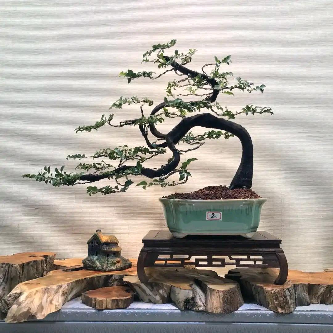 小财神（王者辅助）