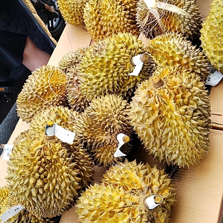 榴莲女王