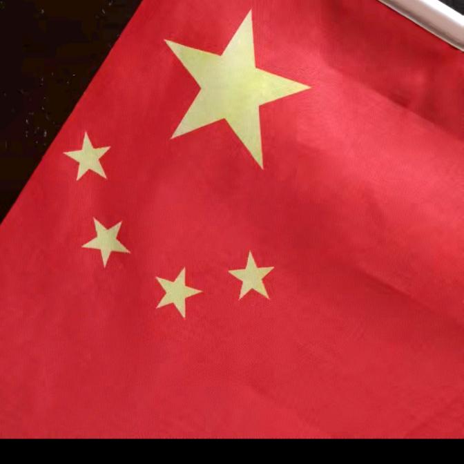 一网打尽，五黑犬