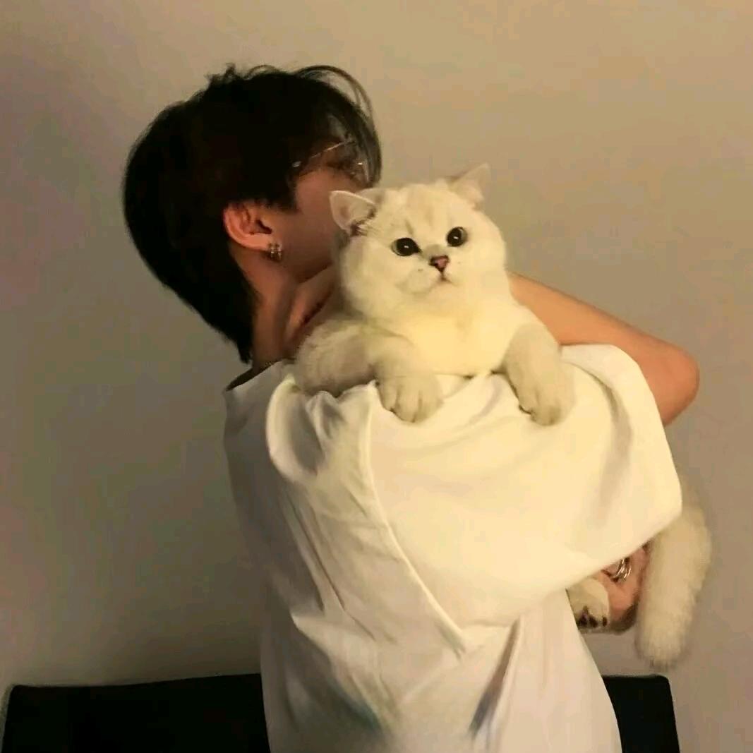 冠舊